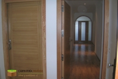 Entrada-vp5-roble-vvda