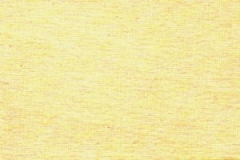 acebo