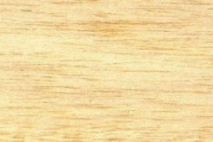 balsa
