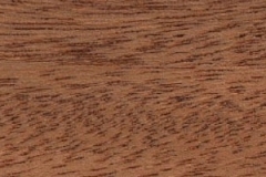 caobaafricana