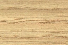 castano