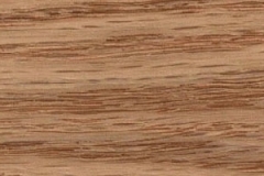 encina