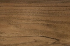 nogal
