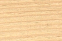 picea