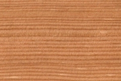 pinooregon