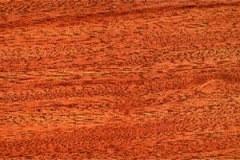 sandalo